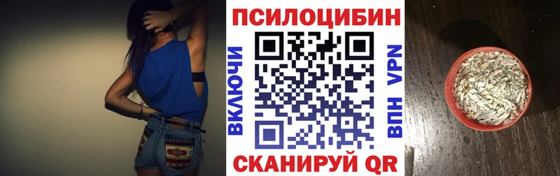 где купить   Коряжма  Псилоцибиновые грибы GOLDEN TEACHER 