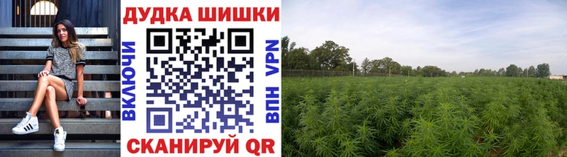 Бошки Шишки Bruce Banner  Коряжма 